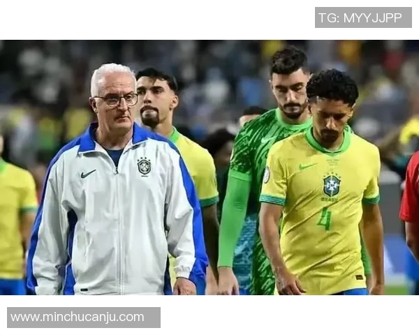 足球球星们都是通过怎样的方式来到巴西踢球的揭秘 足球球星们都是通过怎样的方式来到巴西踢球的揭秘